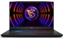   MSI MSI Pulse 17 B13VGK-441RU